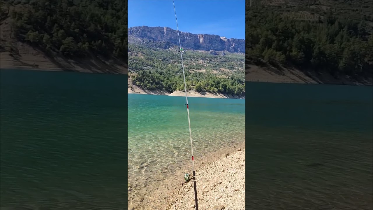 Gezende barajı, Alabalık avı