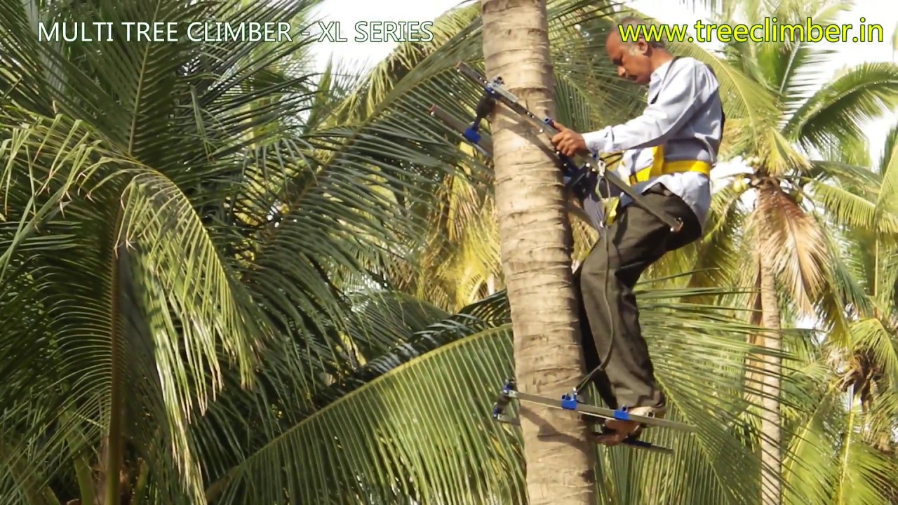 Advance Coconut Tree Climber
