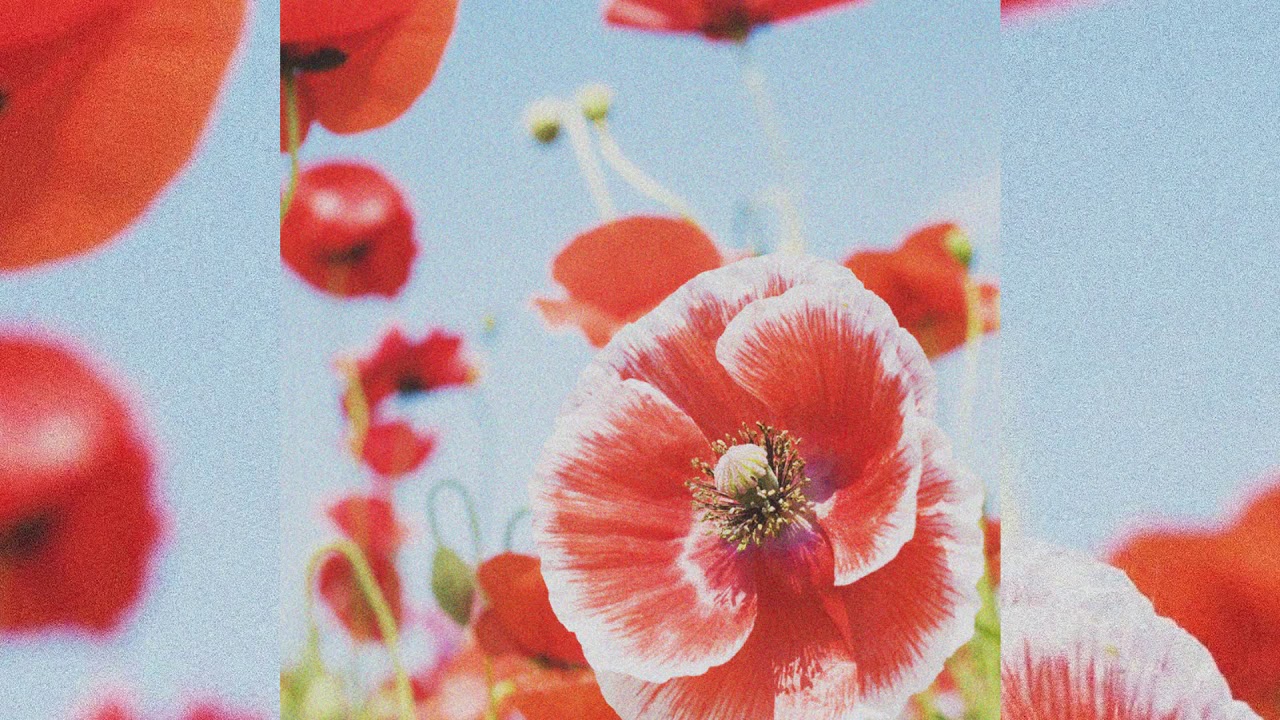 Pold & 92elm - Flowers