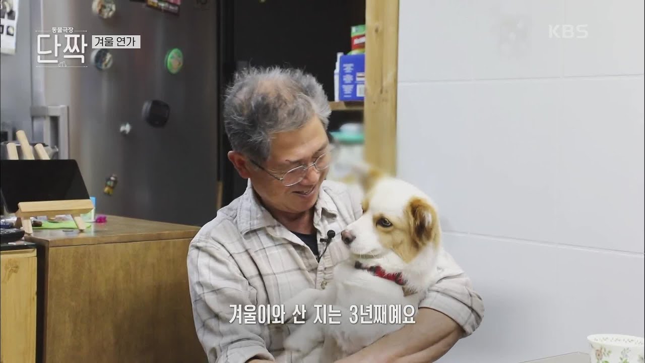 평창 산골 부부, 그 &lsquo;겨울&rsquo; 사랑이 분다 [동물극장 단짝] | KBS 231209 방송