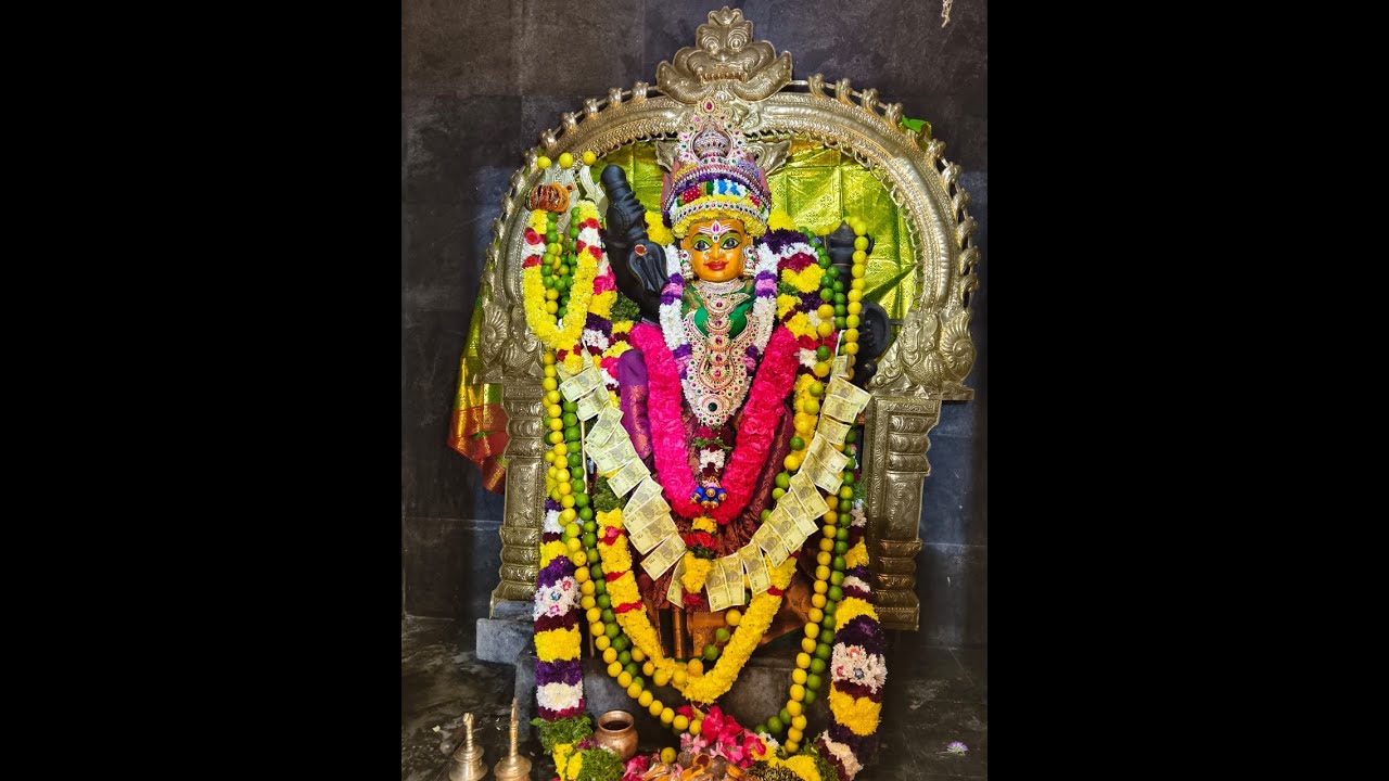 ஸ்ரீ வடபத்ரகாளியம்மன் தீமிதி திருவிழா(18.01.2026)