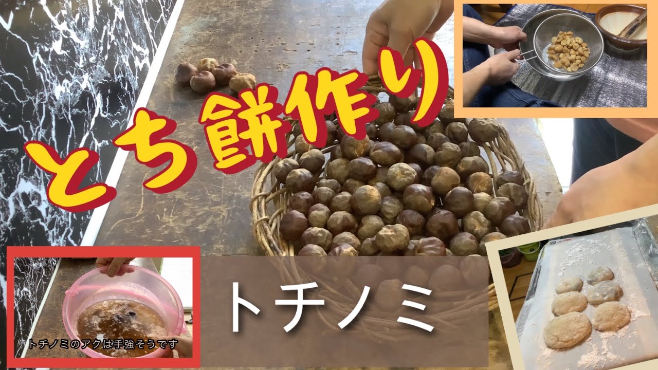 アク抜きが大変なトチノミを1ヶ月かけてトチ餅にする　トチモチ作り　#made Vlog 3