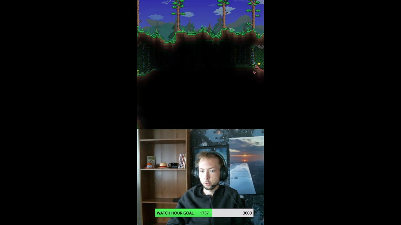 Terraria 1/25/26 (Portrait)