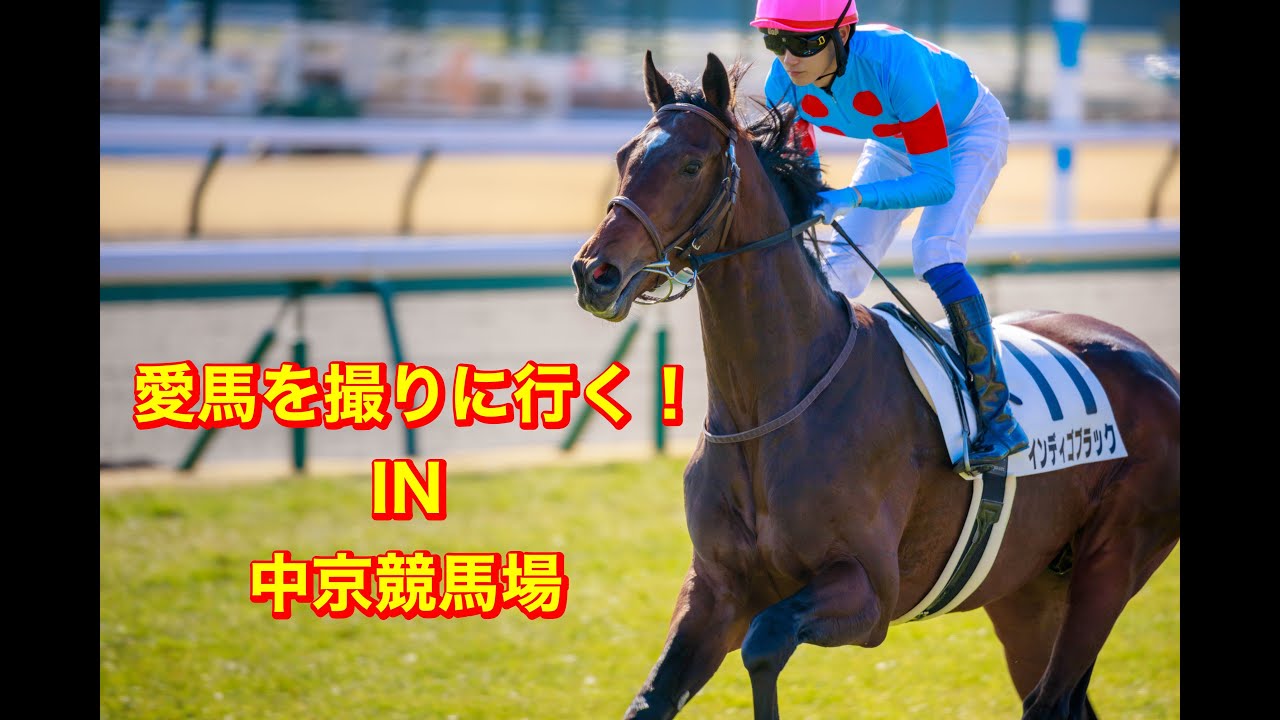 中京競馬場で愛馬の応援して写真を撮ってきた