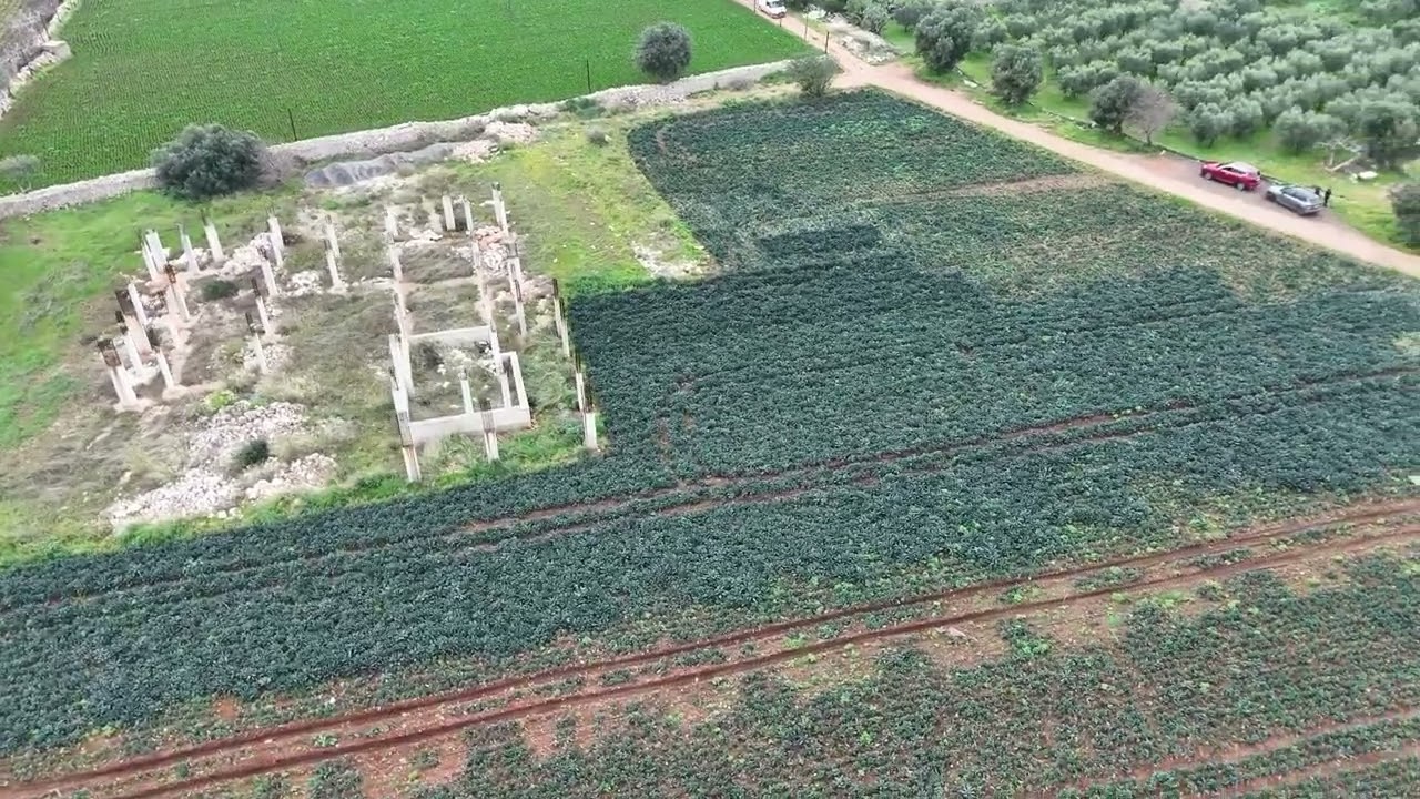 Terreno agricolo in vendita a Polignano a Mare