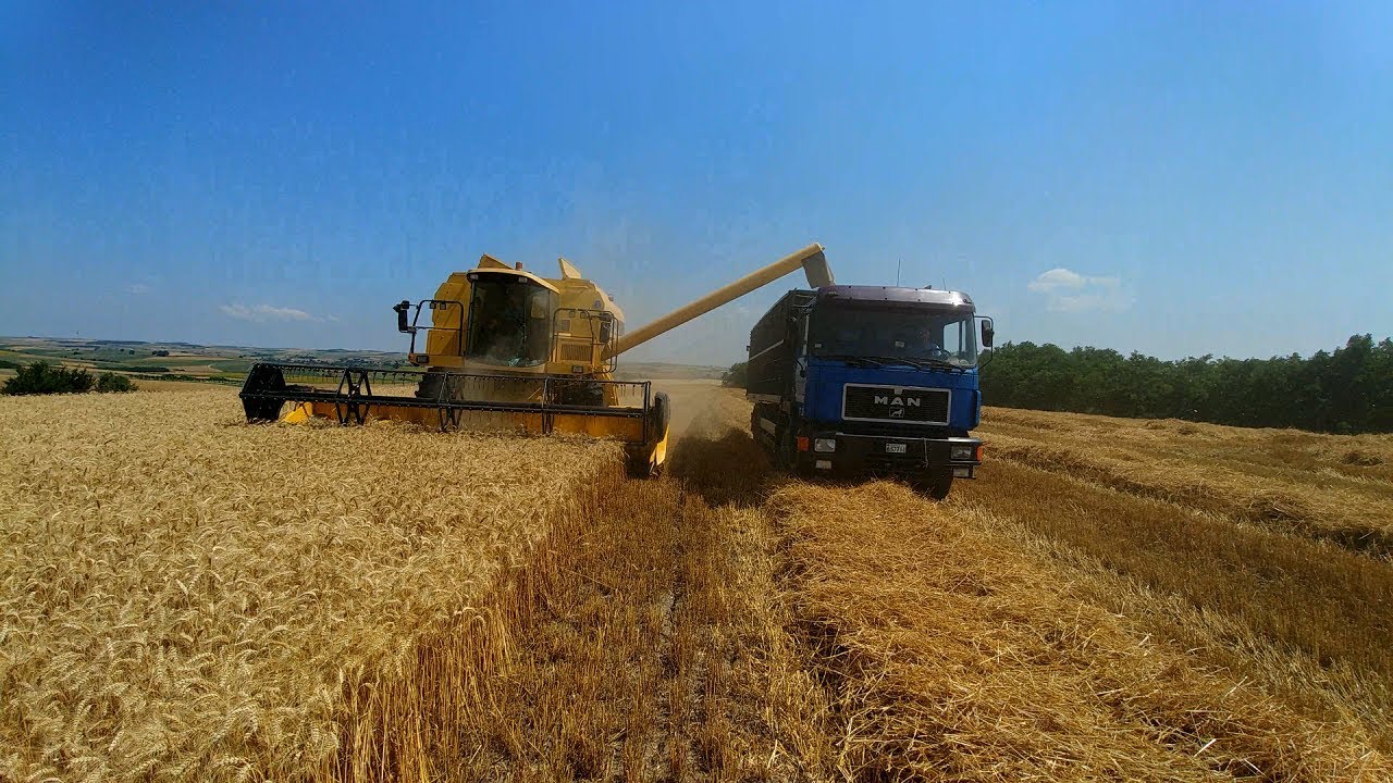 Wheat Harvest 2019 Greece
