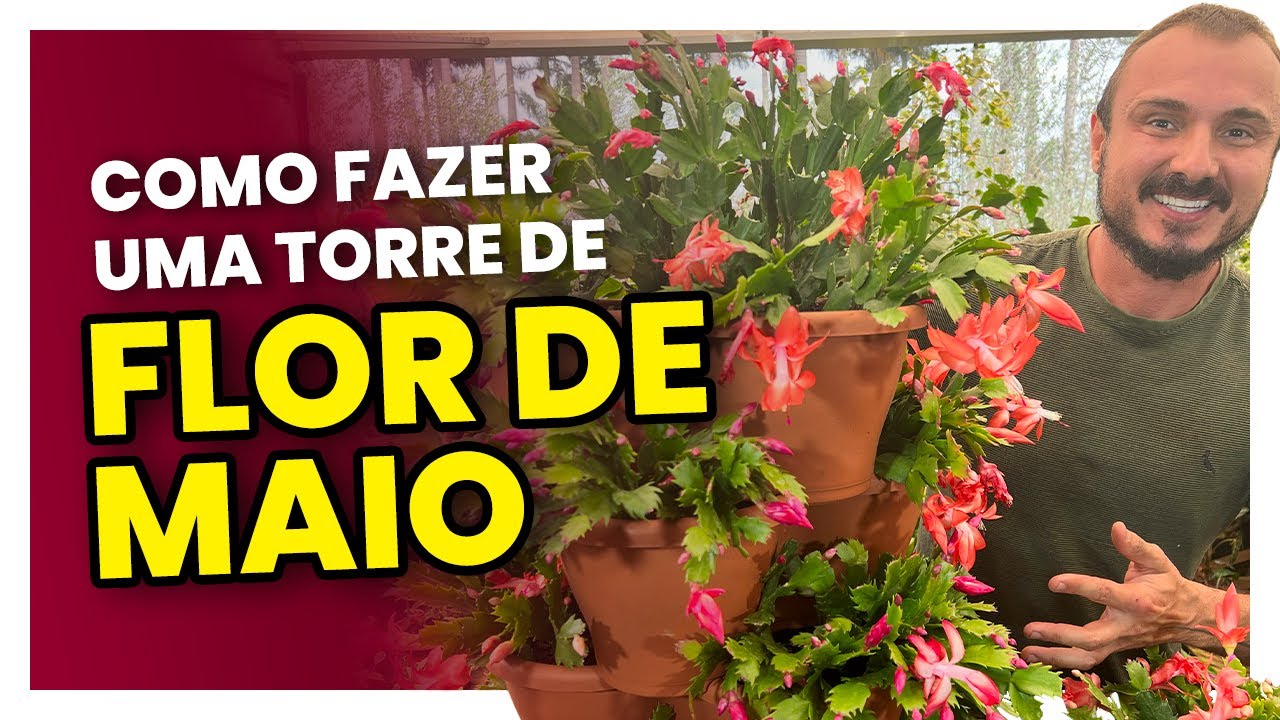 Tudo sobre a flor de maio | Aprenda cultivar e fazer uma torre