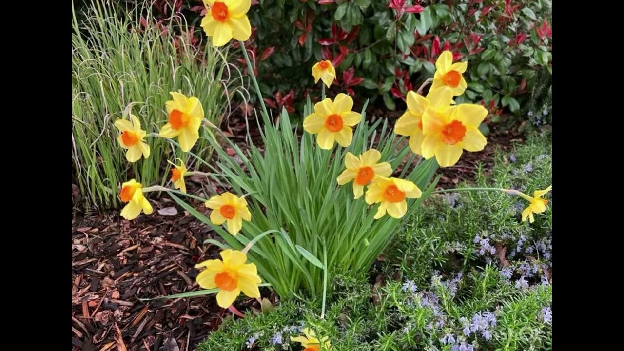When life gives you flowers, take all the color