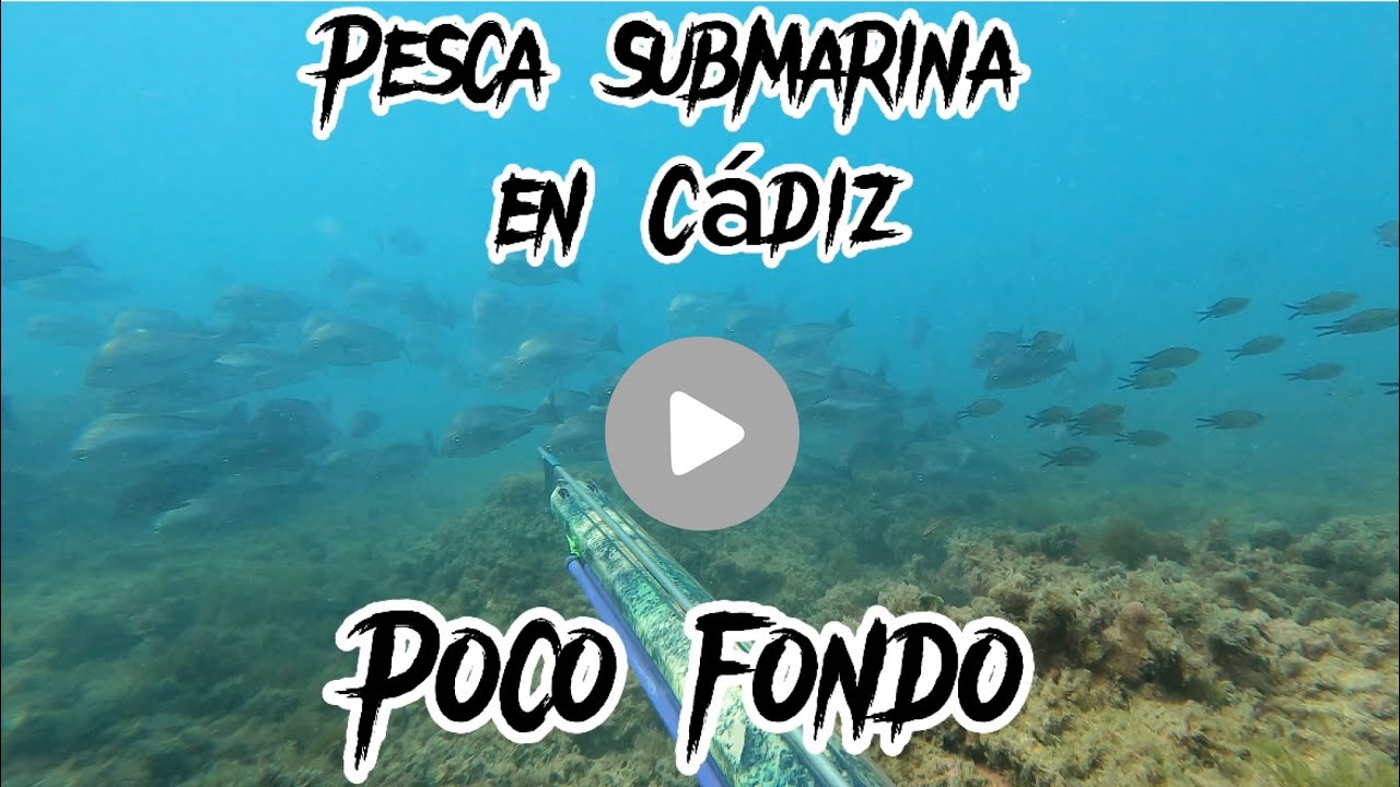 Pesca submarina en Cádiz a poco Fondo. Testando Inverter Roller 100 Anfitrite🔱