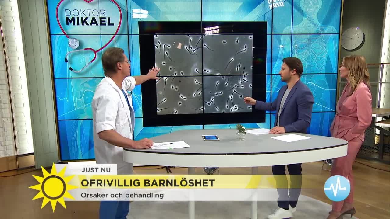 Dr Mikael: "Tajta kalsonger förstör dina spermier" - Nyhetsmorgon (TV4)