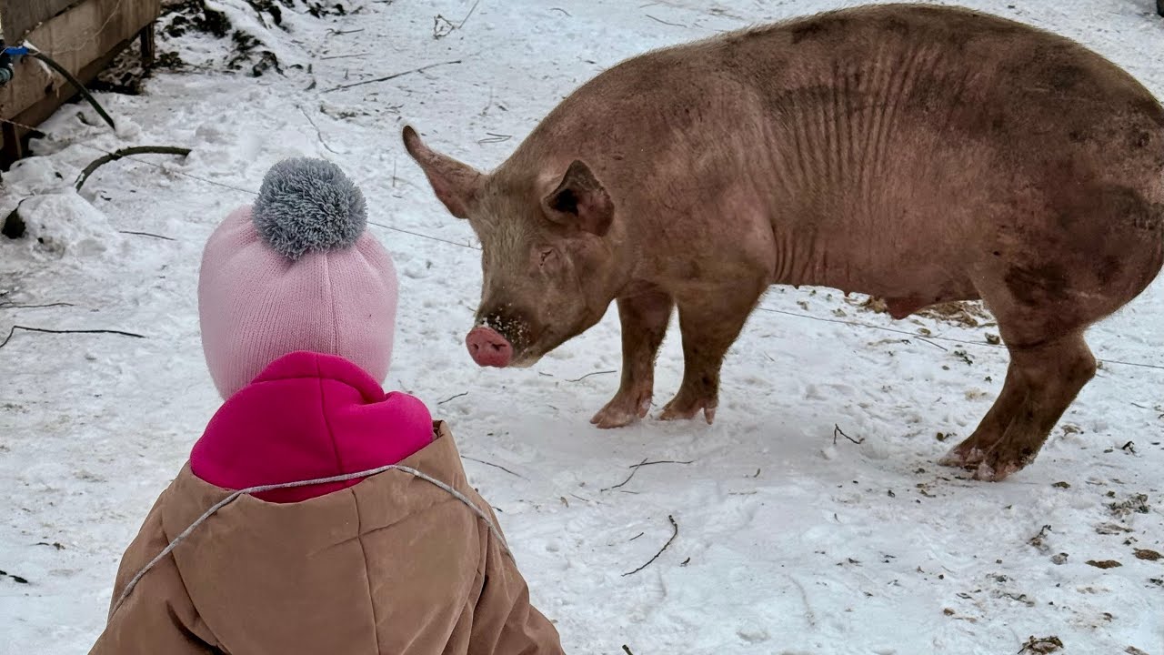 12 детей и большой хозяйство