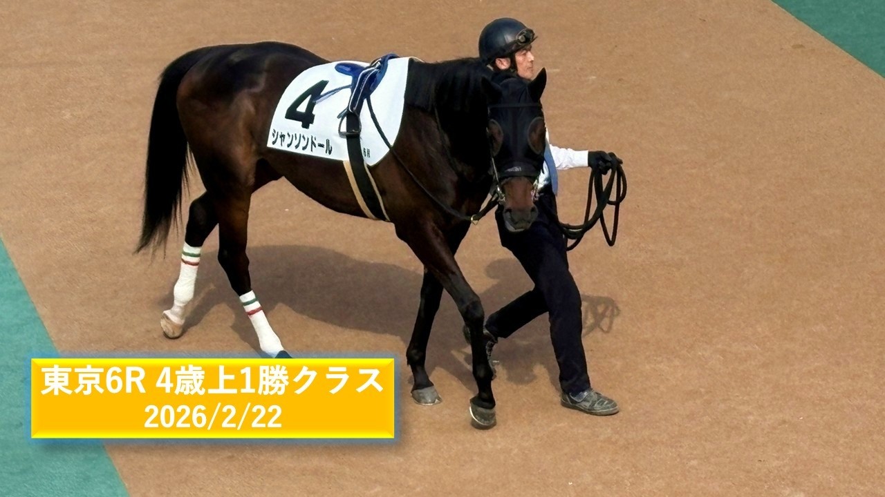 2026年2月22日 | 東京6R 4歳上1勝クラス | シャンソンドール | カザンラク | ミッキーマドンナ | パドック 現地映像 全頭 | 東京競馬場 | 芝1,800