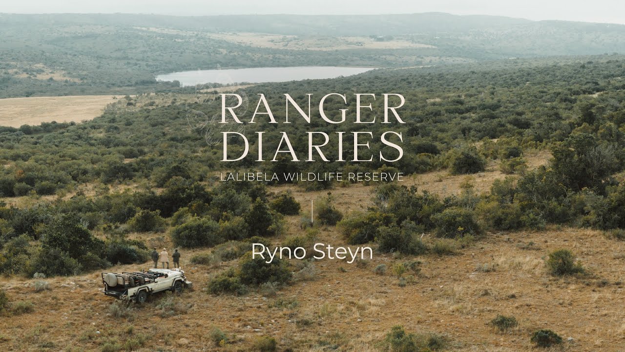 Ranger Life with Ryno at Lalibela: Listening to the Land