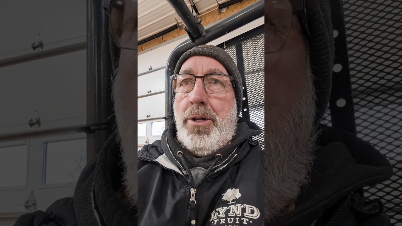 Costly apple tree pruning mistake easily avoided!