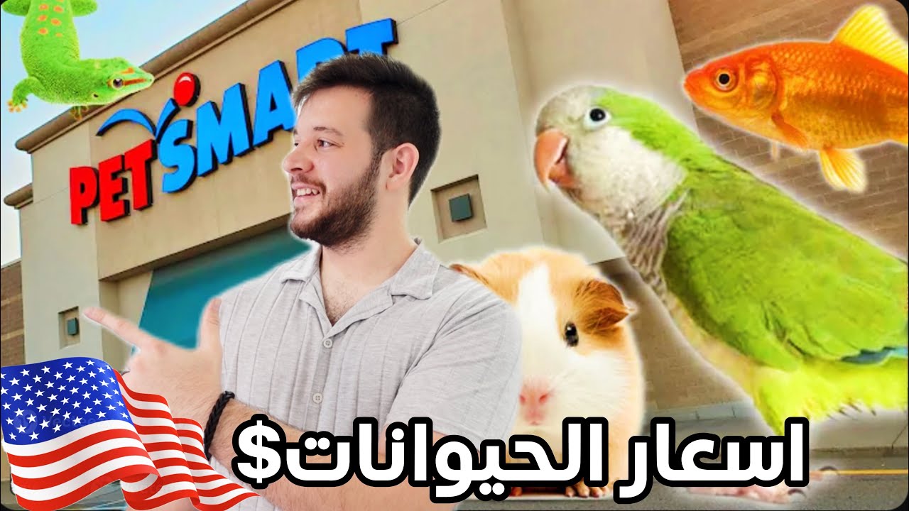 جولة بمحل الحيوانات بامريكا حيوانات واسماك غريبة والاسعار صدمة!