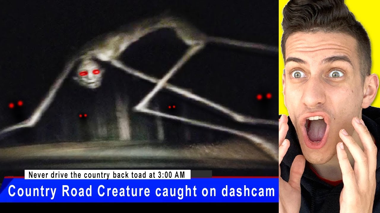 SCARIEST COUNTRY ROAD CREATURE SIGHTINGS in REAL LIFE!
