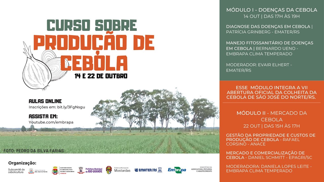 Curso sobre  Produção de cebola | Módulo I - Doenças da cebola