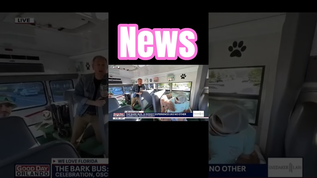 Автобус Bark Bus забирает собак для местной новостной станции Fox 35 Orlando 🐾&hearts;️🐕