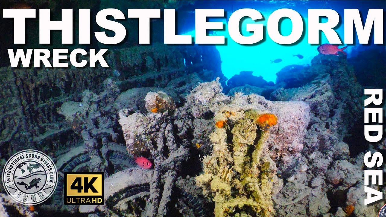 🇪🇬 #Дайвинг к затонувшему кораблю: SS Thistlegorm (Красное море, Египет)