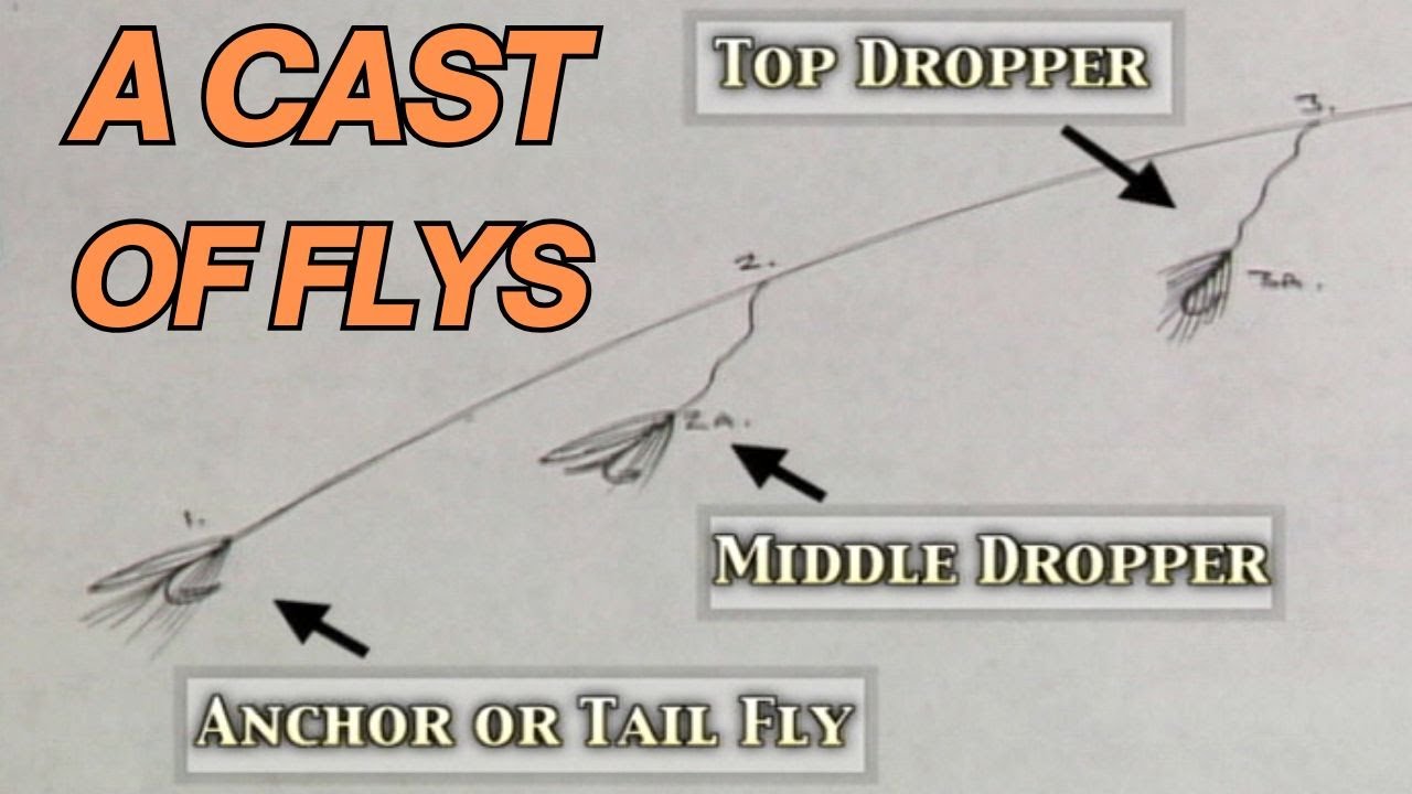 Wet Fly Placement in a 