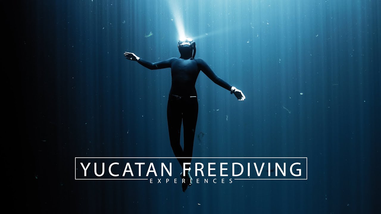 YUCATAN FREEDIVING  -Experiences-