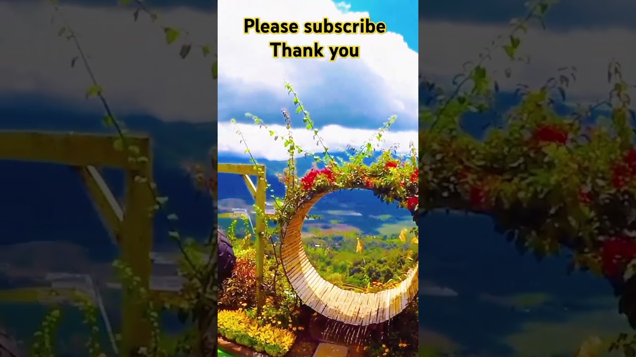 🏓 Perfect place to relax ( Calamba farm sea of clouds Maragusan Davao de oro)