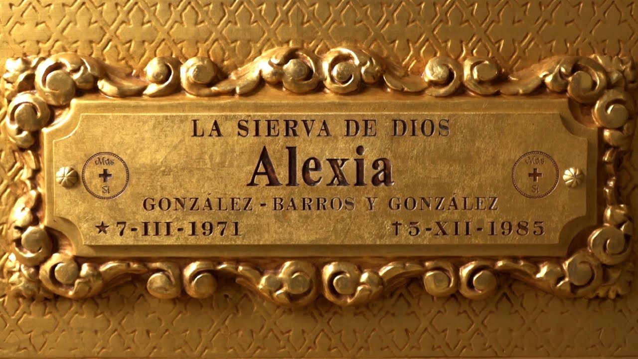 Flores para Alexia