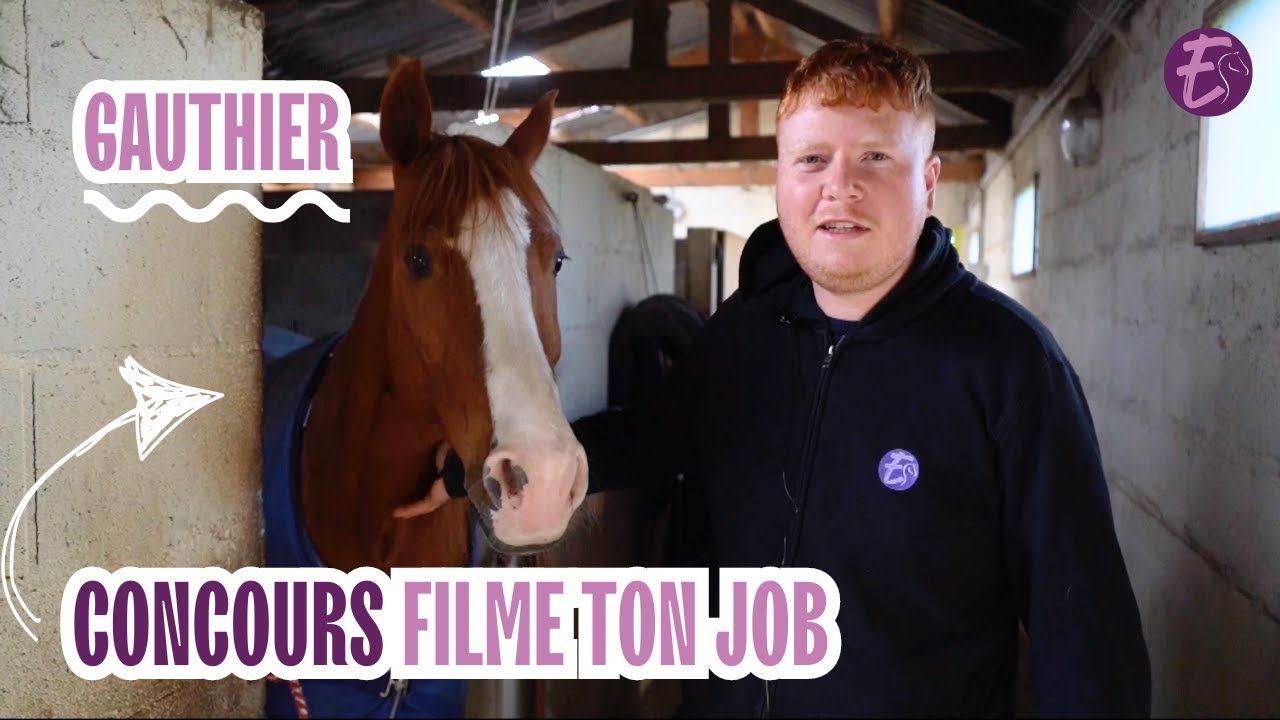 LE MÉTIER DE MONITEUR D'ÉQUITATION AVEC GAUTHIER | Concours Film Ton Job