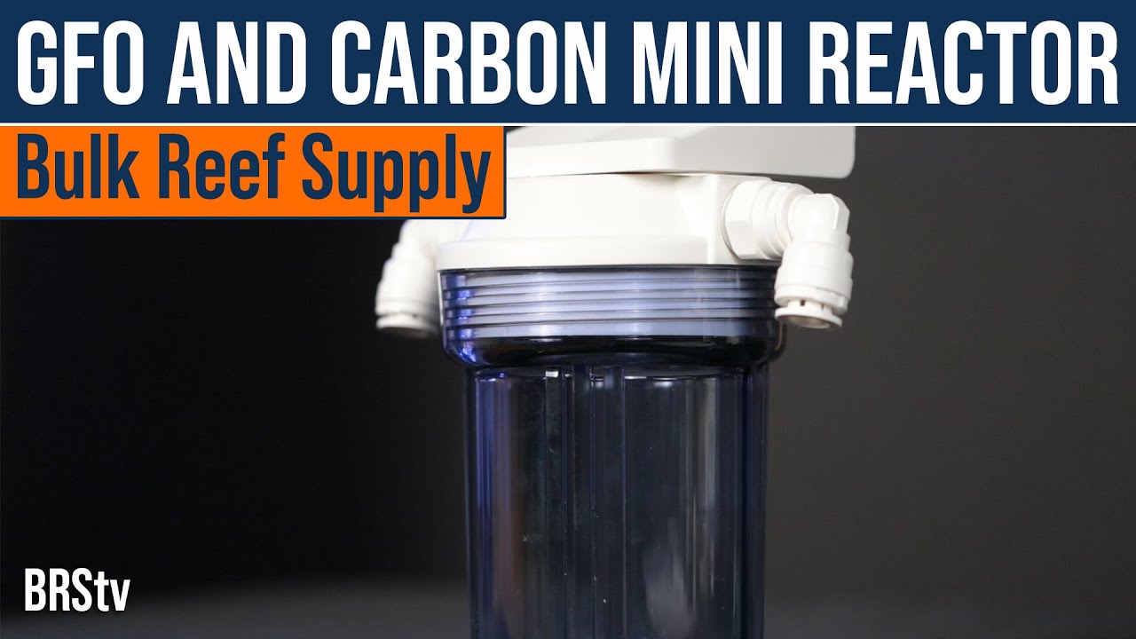 How Much Aquarium Carbon Do You Really Need? The BRS Mini GFO and Carbon Reactor For Tanks To 100gal