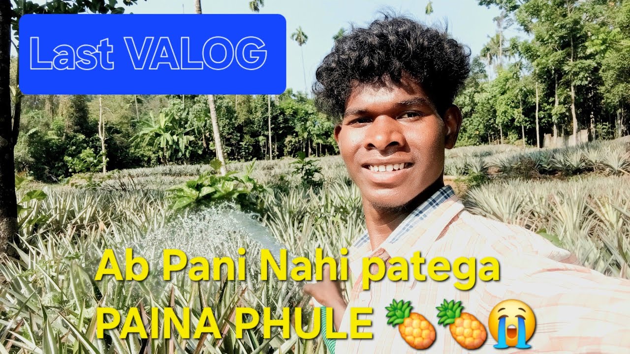 Last blog aapse pineapple Mein Pani Nahin patega  Bhi  jyada ho gaya😭😭