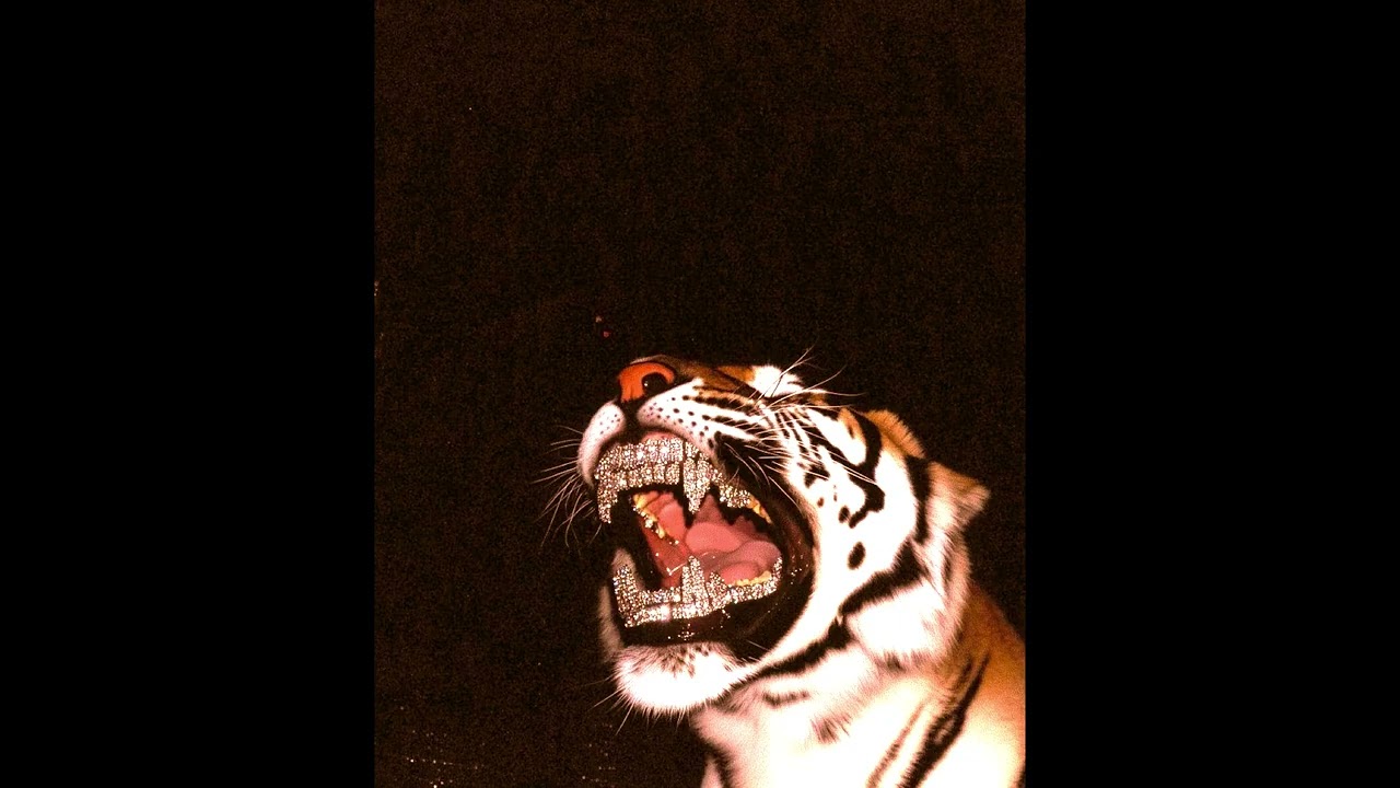 “SABERTOOTH” | CINEMATIC x TRAP x 88GLAM TYPE BEAT