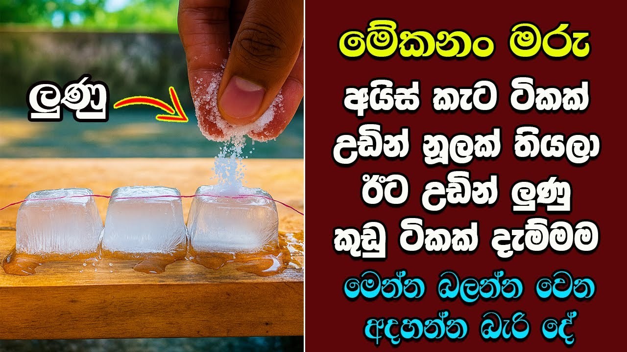 මැරෙන්න කලින් ඔයා දකින්නම ඕනි දේවල්  EP:27