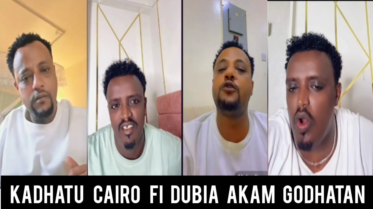 OroFunny😁 kadhatota cairo tifi kan dubia sistama itti kadhatan numa bekan