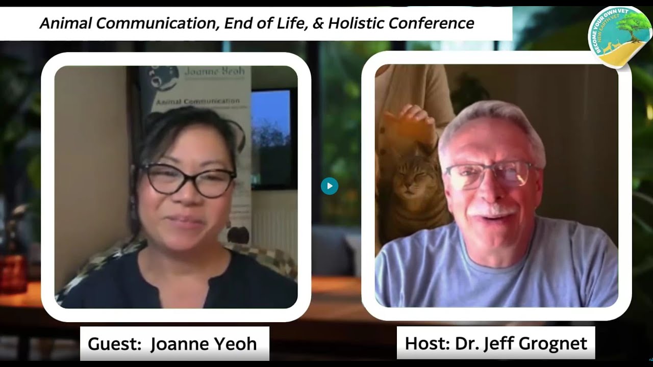 3 Mistakes To Avoid | End Of Life Animal Communication