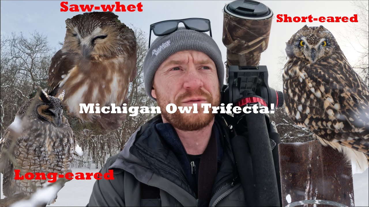Michigan Owl Trifecta!