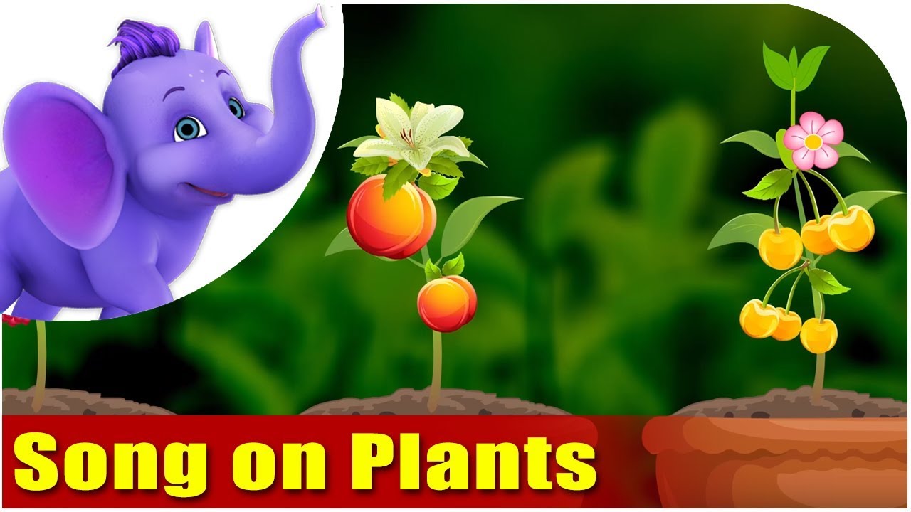Song on Plants - Five Main Parts of a Plant in Ultra HD (4K)