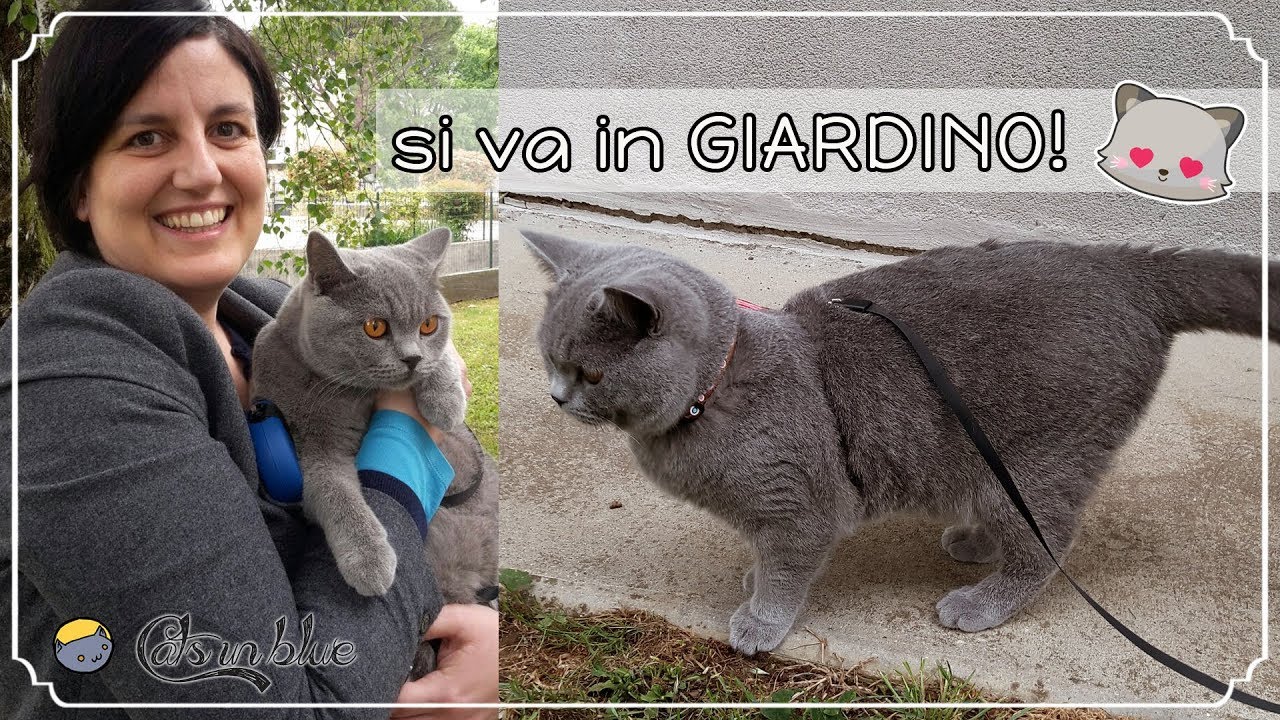 Si va in giardino con i gattini