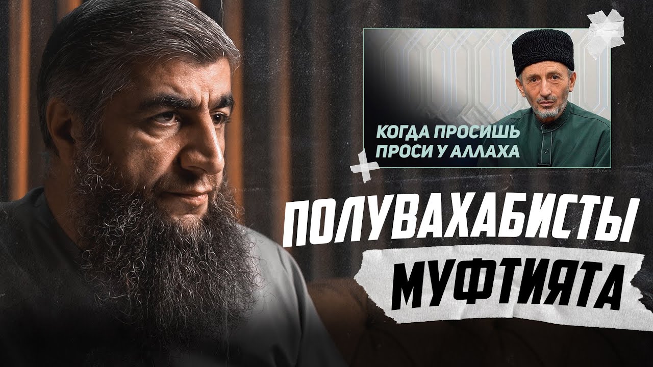 Полувахабисты муфтията