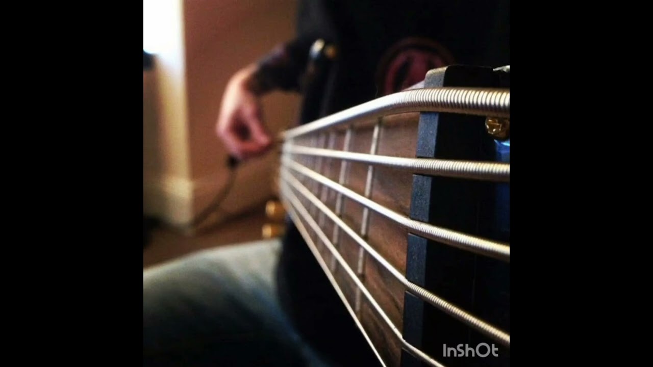 Mayhem "🌗Freezing Moon🌓" (Bass cover)