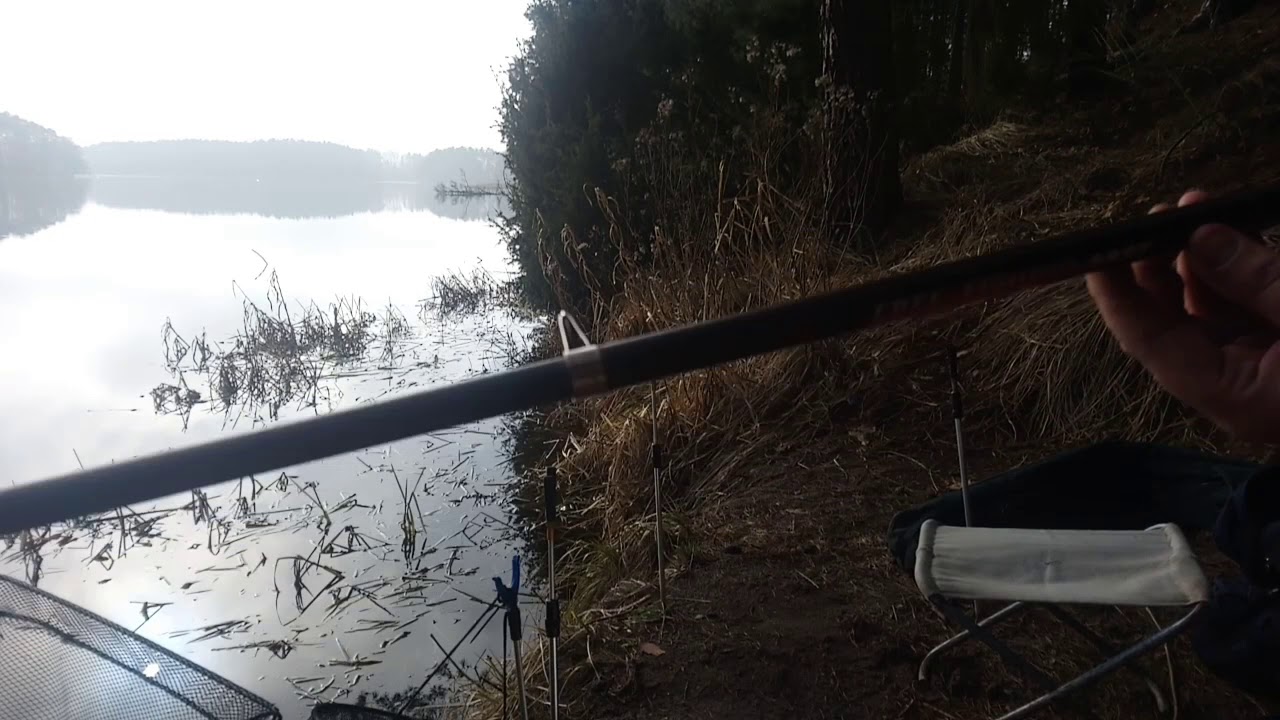 Łowienie płoci wczesną wiosną- Zalew Koronowski 🎣 🎣 🎣