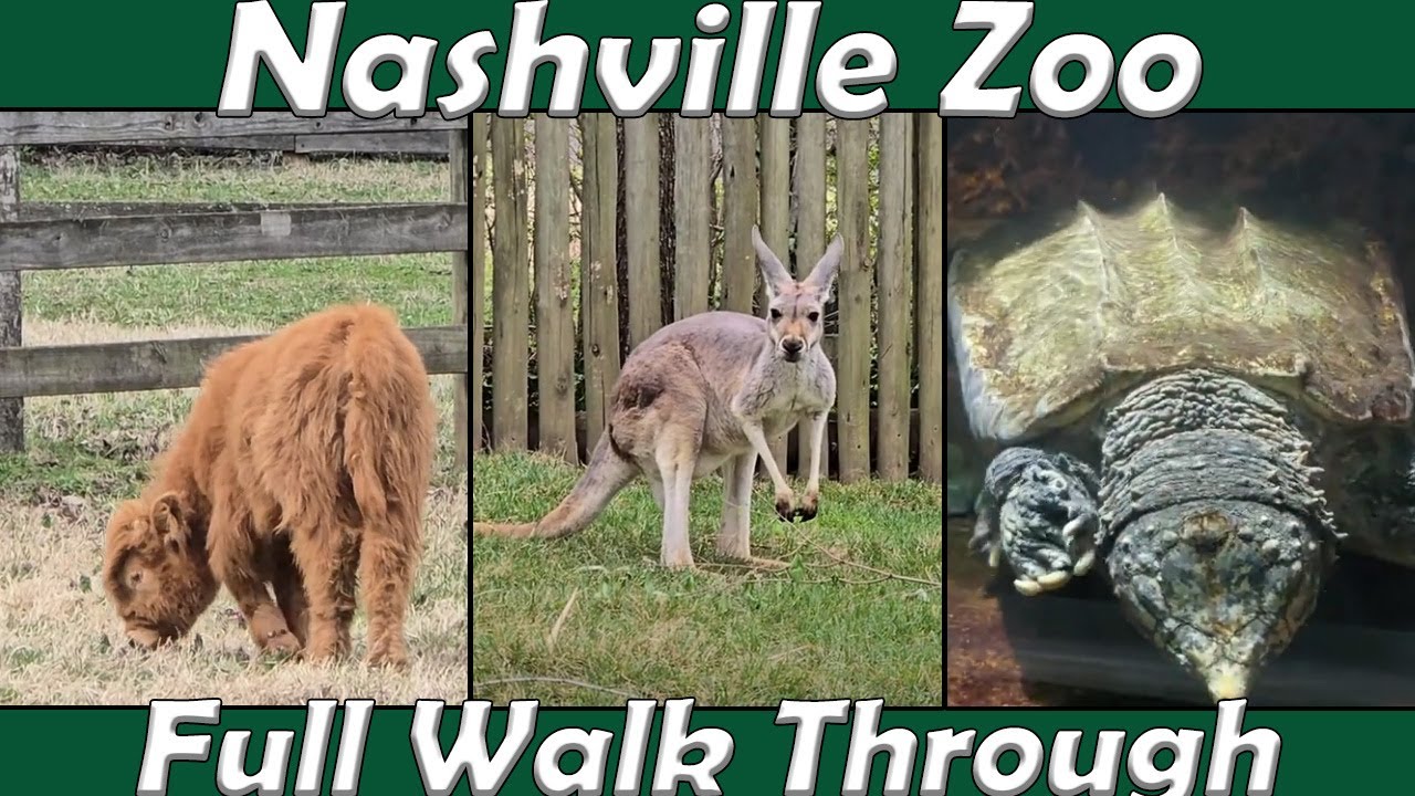 Walk Through: Nashville Zoo in Nashville, TN. (Mar. 19th, 2025)