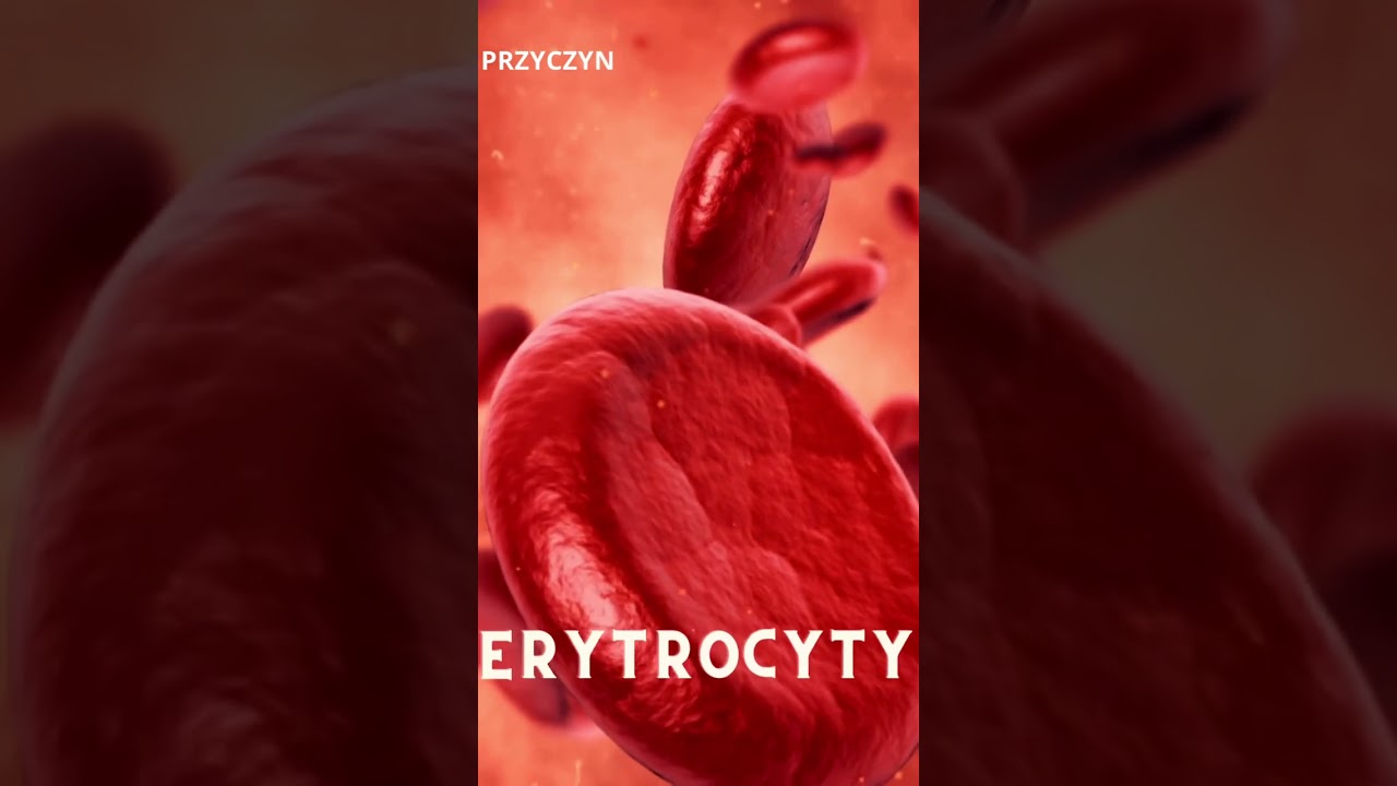 Wyniki badań laboratoryjnych w spojrzeniu holistycznym. Część 1. Erytrocyty🧐