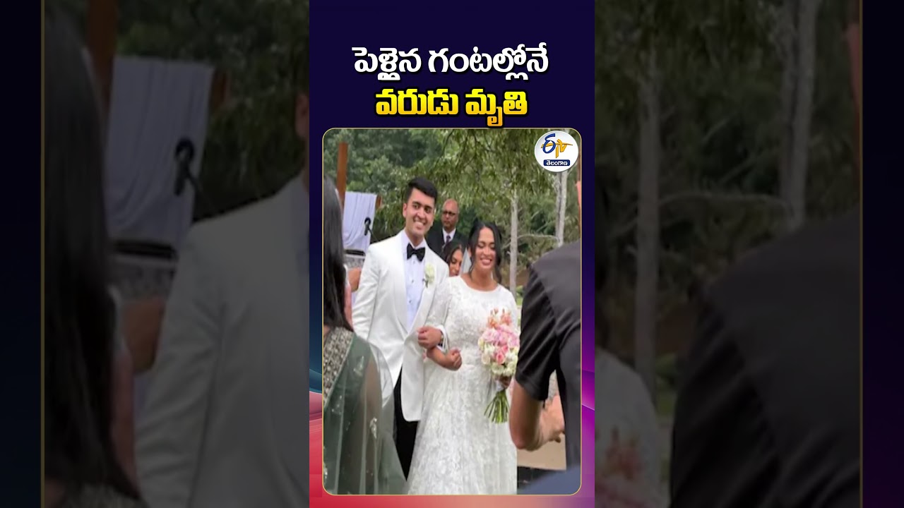 Newlywed Indian-Origin Pilot Dies in Helicopter Crash Hours After Wedding in Georgia
