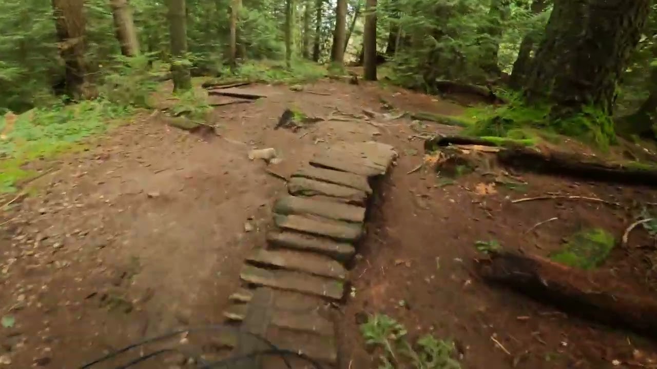 Burnaby Mountain - North Road trail