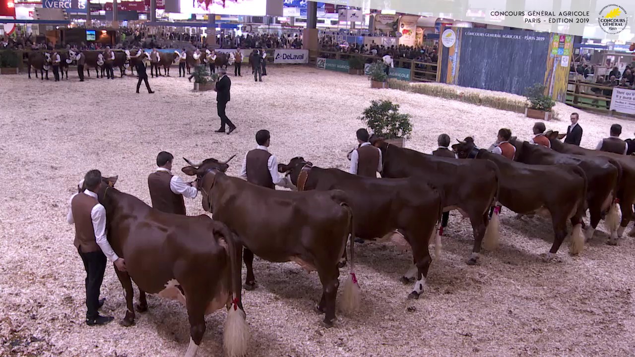 Concours Race Abondance 2019