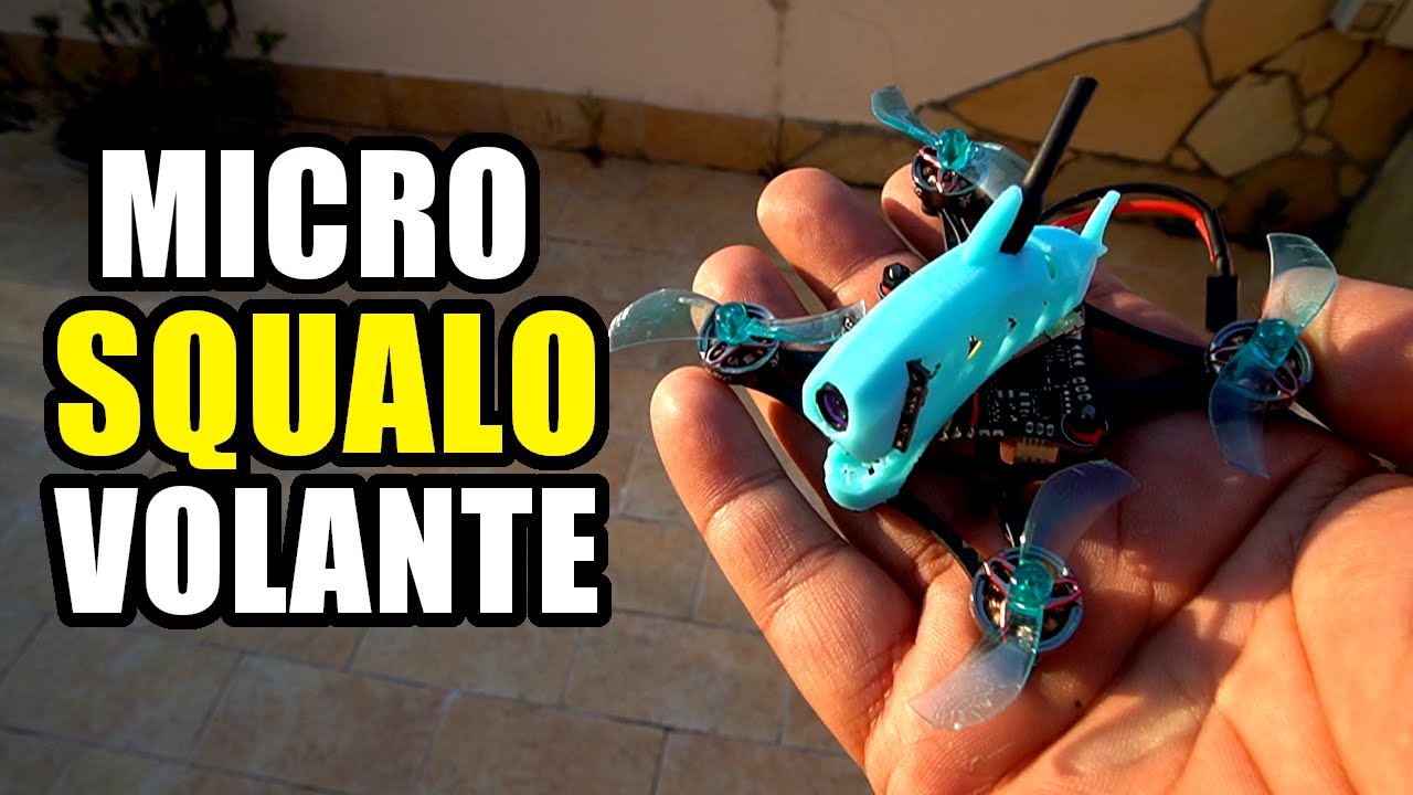 MICRO SQUALO CHE RIESCE A VOLARE OVUNQUE????