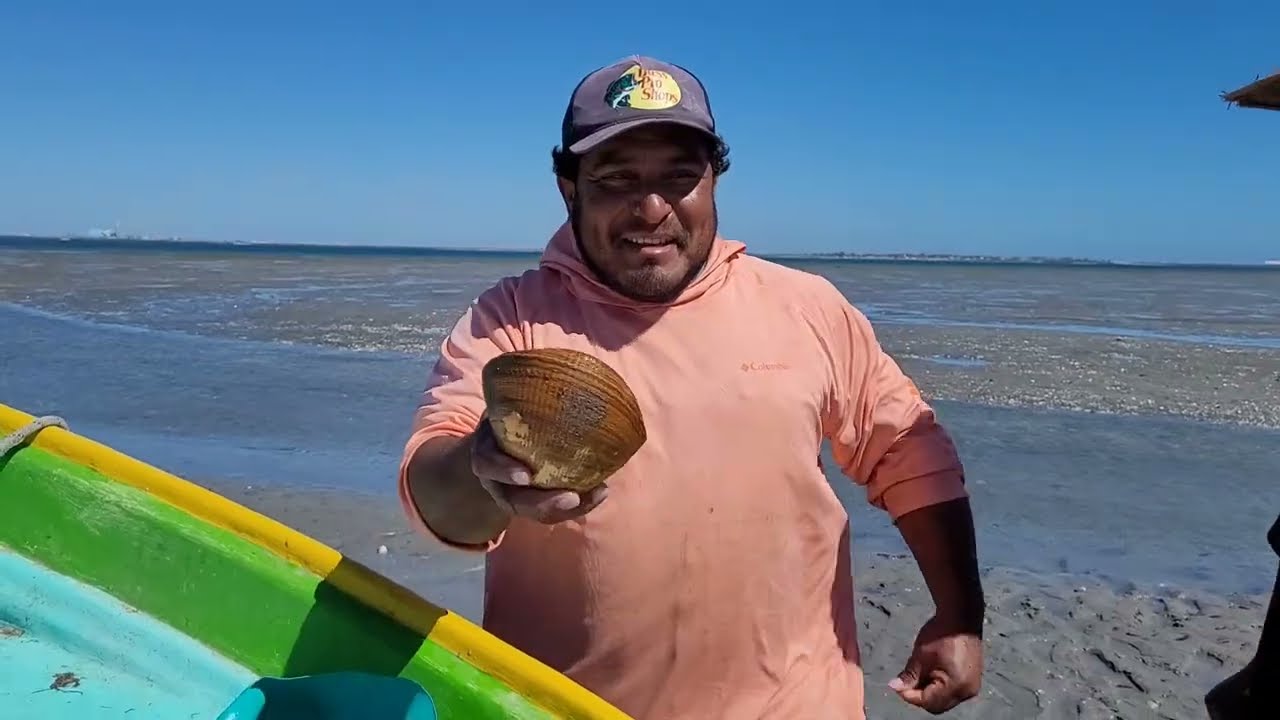 Almejas en bajamar encontramos diferentes especies