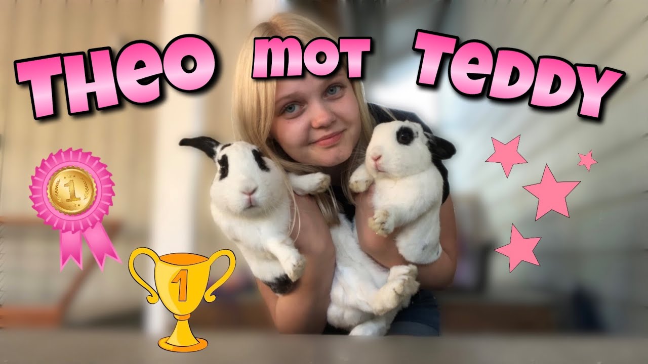 Challenge mellan Theo & Teddy