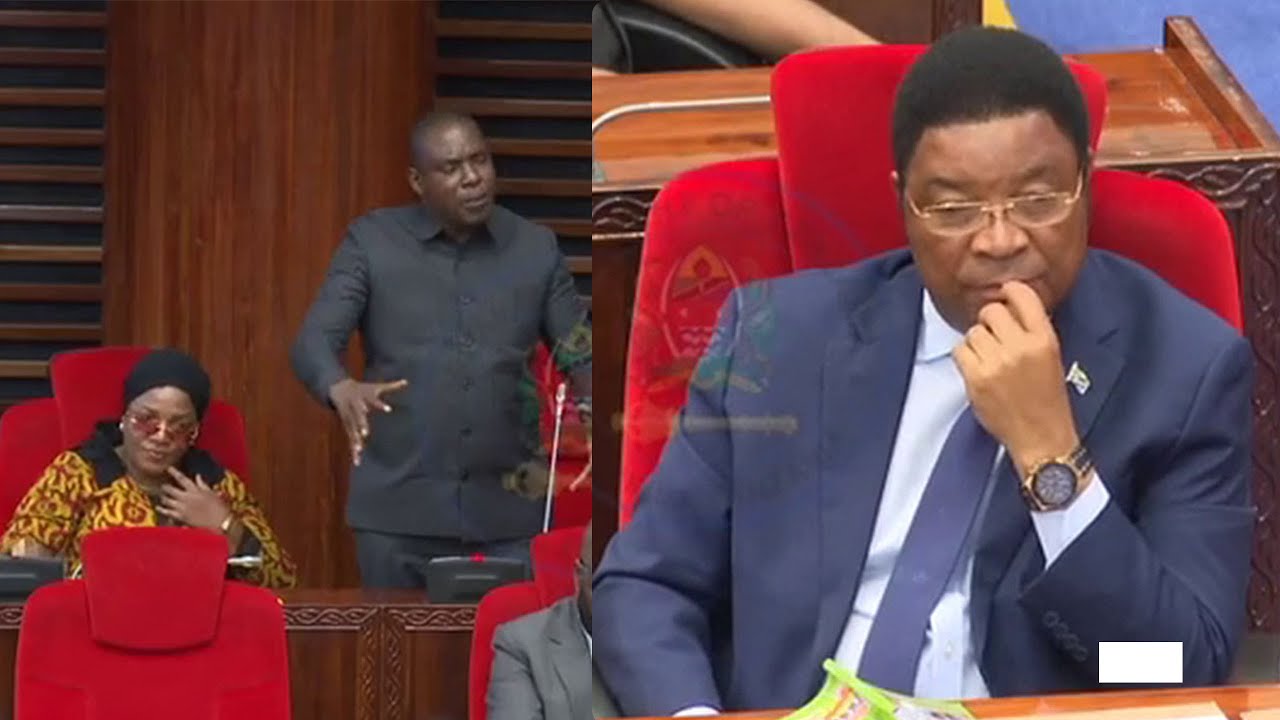 ZEGE HAILALI MBUNGE KISWAGA AIBANA SERIKALI MIRADI VIPORO