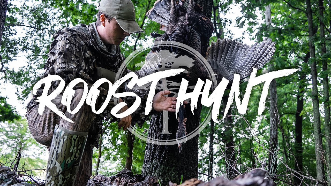 Turkey Hunting- Gobbler RIGHT Off The Roost!